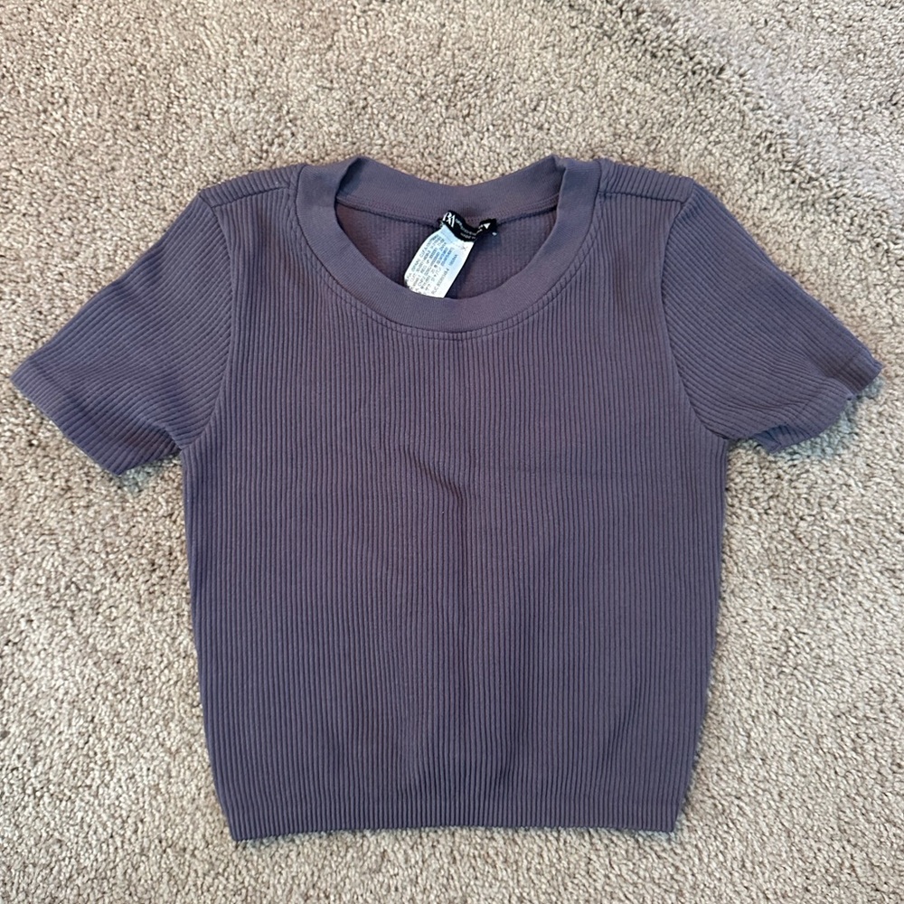 Zara Cropped Ribbed Tee